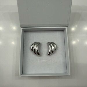 Silver Crescent Earrings